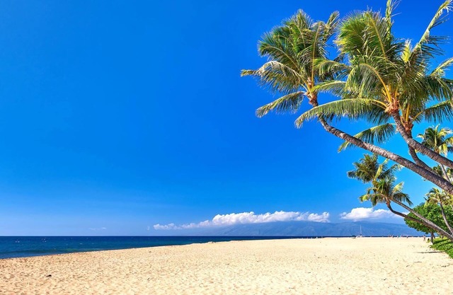 KBM Resorts | Spacious 3-Bedroom Honua Kai Collection | Multi Unit Listing | Same Floor | Ocean Views + 2 Free Rental Cars! HKK-816/20