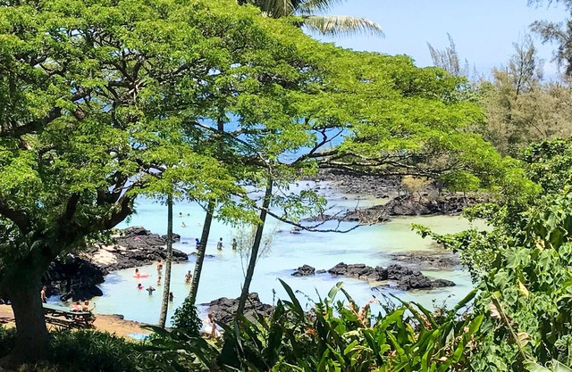 Kealoha - Unglaubliche Aussicht, spektakulärer Strandpark, das beste Schnorcheln, Schildkröten