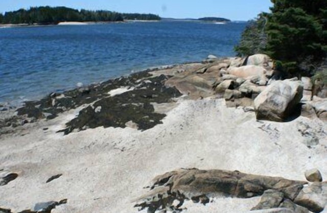 Kelly Point - Im Einklang mit der Natur gebaut