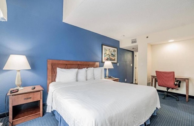 King Executive Suite Near Taxleaf Doral MIA