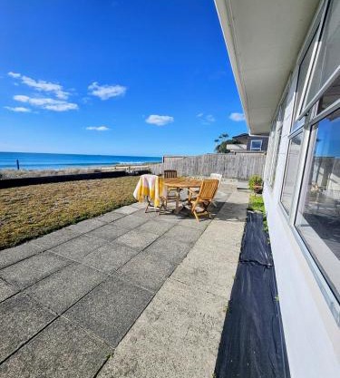 kiwi living on the beach