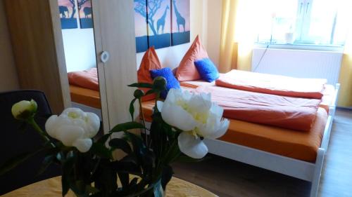 Kleines Studio Seefalke
