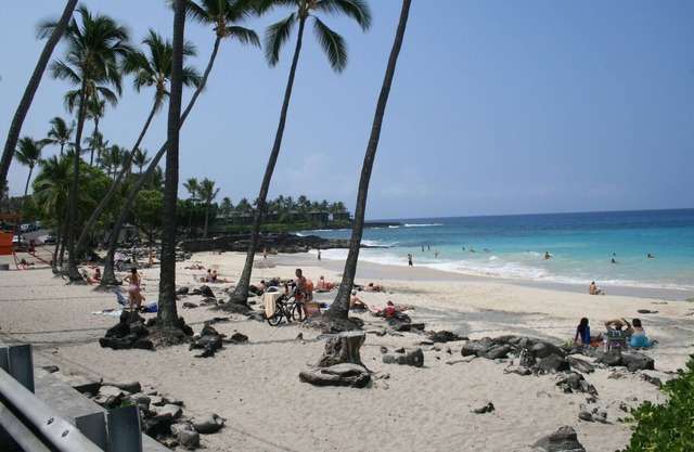 Kona Bali Kai 317 - Oceanfront 2 Bedroom Condo by RedAwning