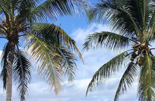 Kona Bayview Inn