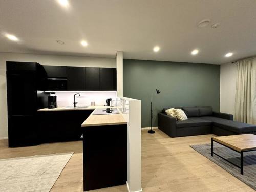 Kotimaailma Apartments #6 - Hieno ja tilava kaksio keskustassa