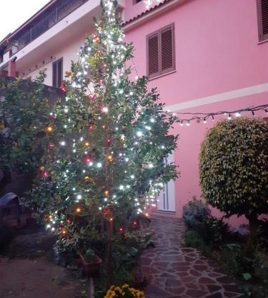 L'Agrifoglio di Emy