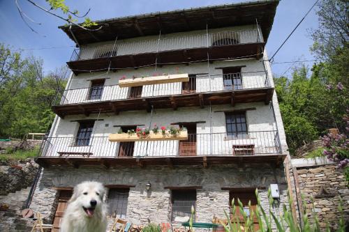 L'ARAMU - Casa Antonietta - Aramola di Macra