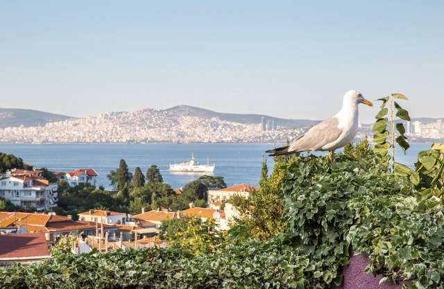 L'isola Guesthouse - Adults Only