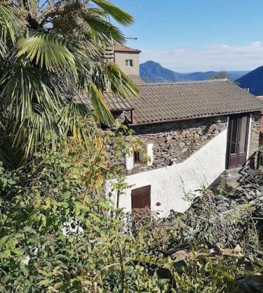 La baita delle palme - Natura e relax tra il Lago Maggiore e i monti