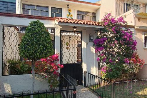 La casa de Tita, en el sur de la Ciudad de México.