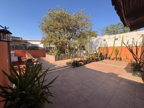 La Casa del Arbol