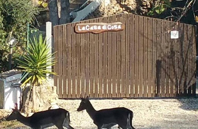 La Casa Di Cosa