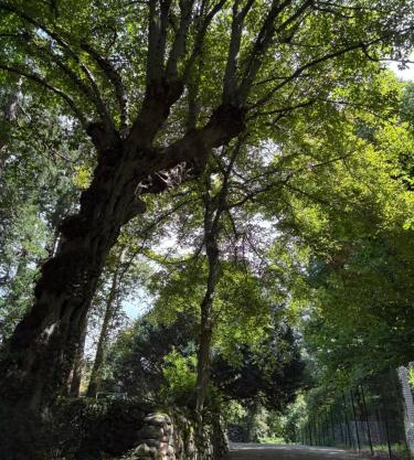 La Casa nel Bosco