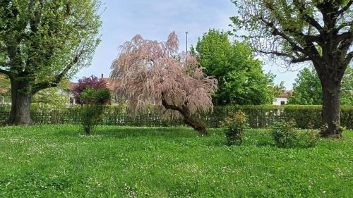 La Casa nel Parco