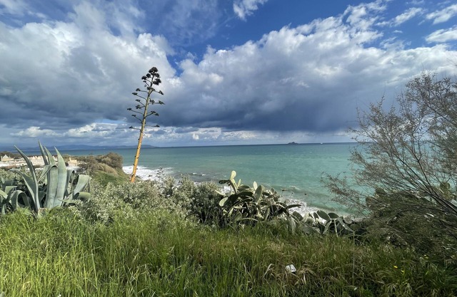 La Casina in Piombino