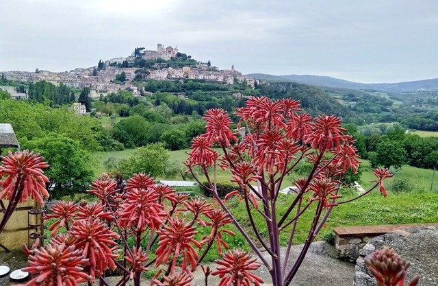 LA CASINA Panoramic apartment in the countryside very close to the village