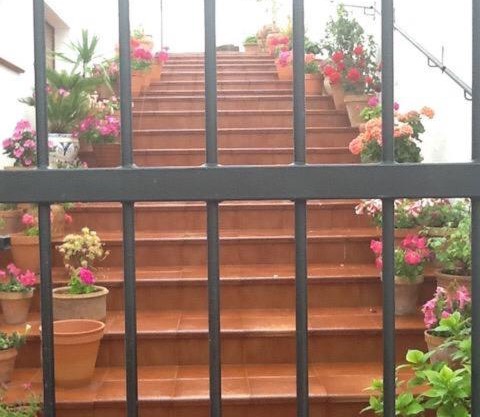 La casita