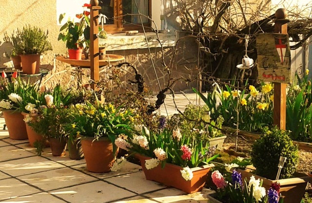 La clé des jardins