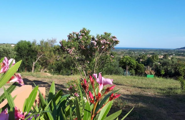 La Collina degli Ulivi