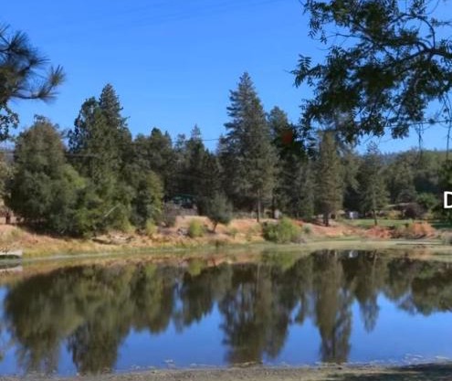 La Dolce Villa Pond Retreat in Yosemite