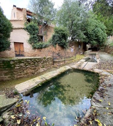 La falsa de Palacio