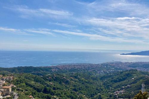 LA FINESTRA SUL GOLFO - CITRA 010018-LT-0033 -