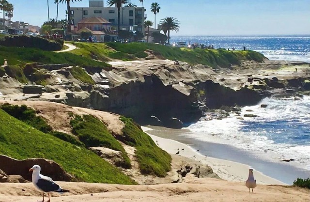La Jolla Cove Oceanfront Paradise