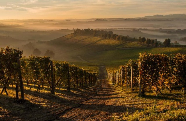 La Locanda del Nocciolo