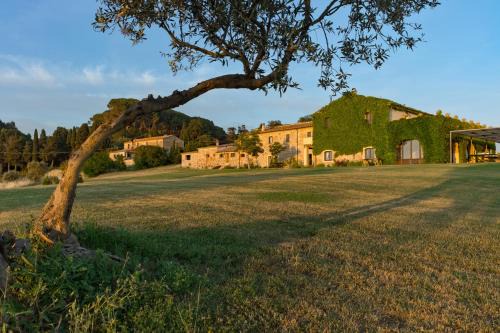 La Marrana - Castello del Terriccio