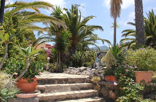 La Palma - Jardin de Aridane