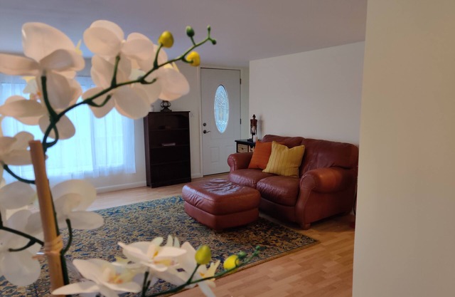 URLAUB im PETITE MAISON