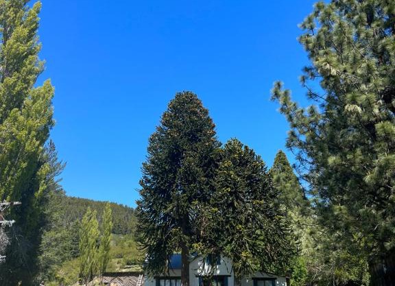 La Rinconada Ranch