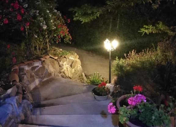 la rosa dei venti