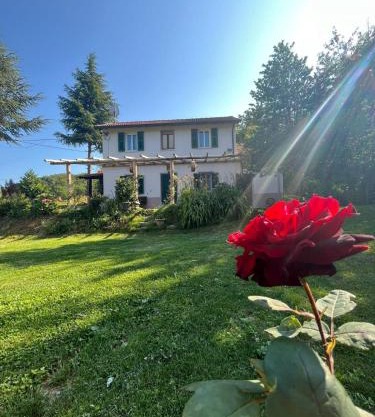 La rosa sul lago