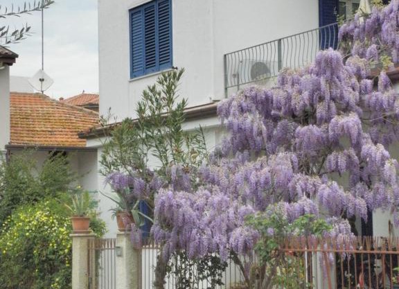 La Suite Di Rita