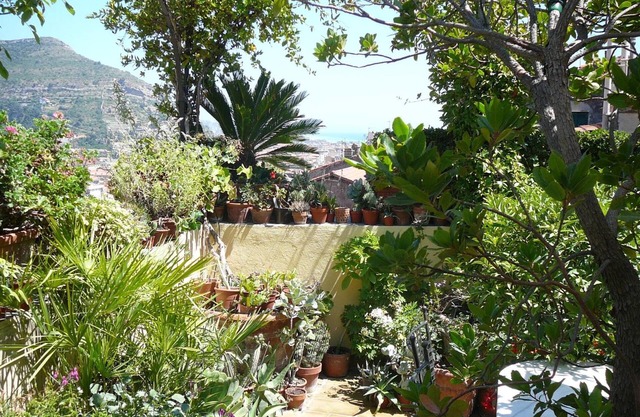 La Terrazza dei Pelargoni B&B