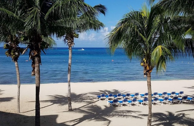 La Tortuga del Mar (5230) Direkt am Strand 1 BR; atemberaubende Aussicht auf die Karibik!