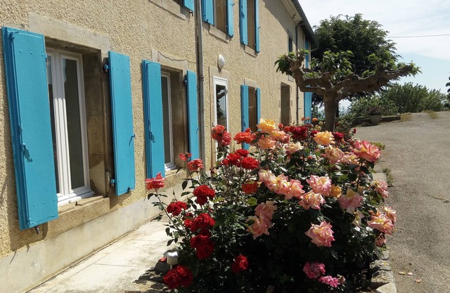 La Vigneronne