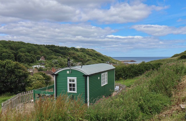DAME VOGEL RETREAT, haustierfreundlich in Skinningrove, Ref 998292