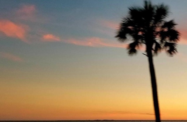 Lagniappe "a little something extra" on the Gulf