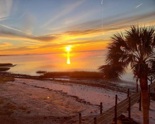 Lagniappe - a little something extra on the Gulf