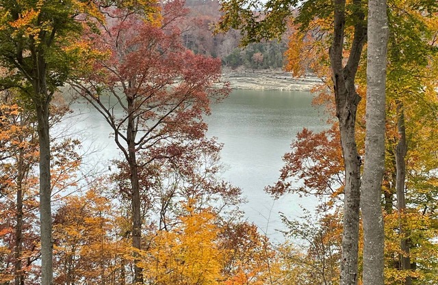 Lake Bluff Paradise on Lake Cumberland. Newly added game room and hot tub!
