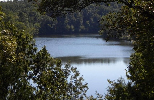 Lake Cabin auf dem Bluff