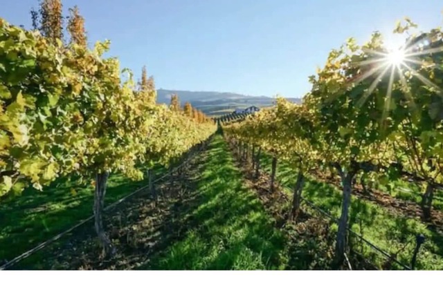 Lake Chelan/Manson Studio #3 w/valley & mtn views