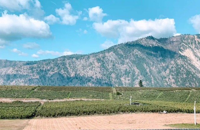Lake Chelan/Manson Studio #1 w/valley & mtn views