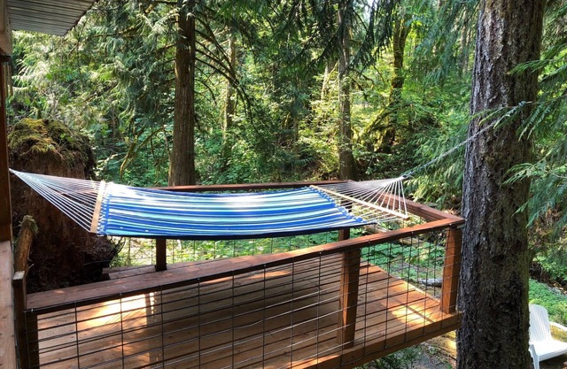 Lake Cushman Cabin, Hot tub & Relaxing Creek.