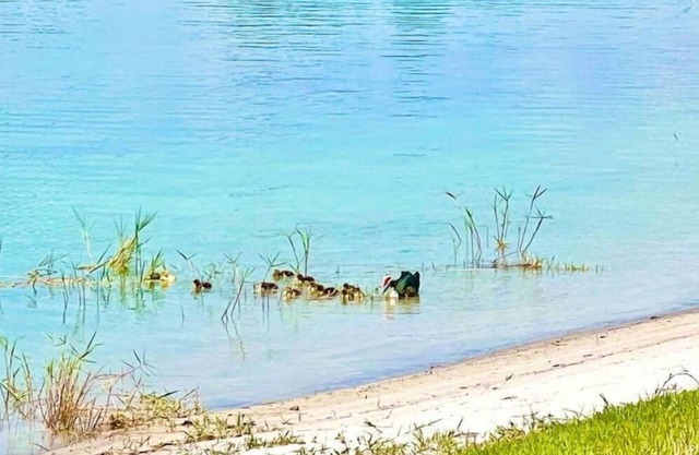 Lake Denton’s Lakeside Getaway ll Spring Fed Lake, 15 miles to Sebring Raceway