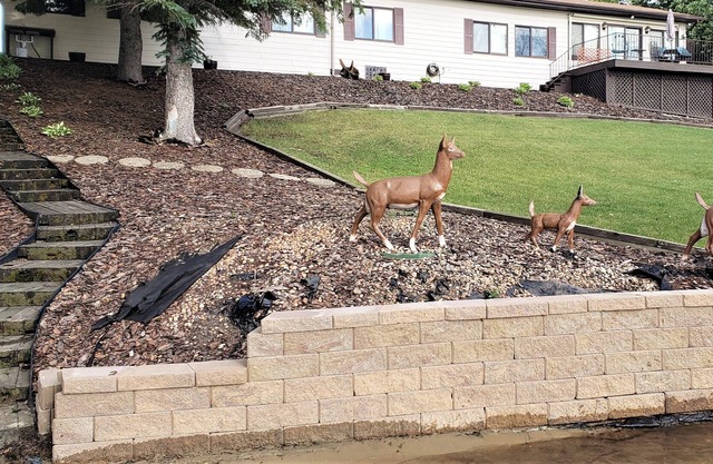 Lake front 4-bedroom home with wrap-around deck and great views!