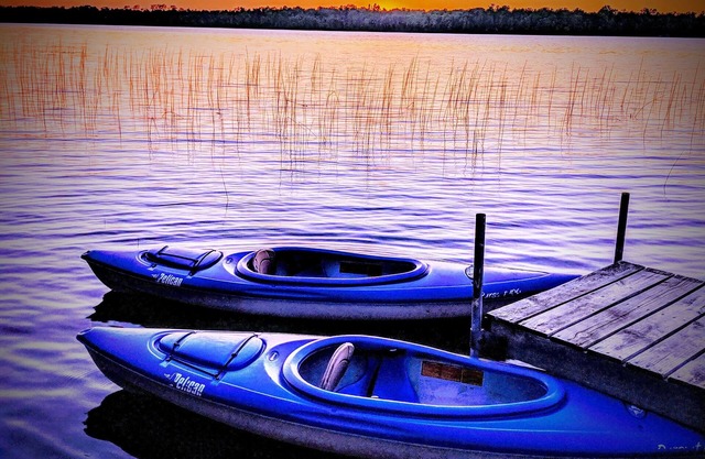 Lake front Cabin: Modern, Comfortable, Secluded. Great fishing & boating.