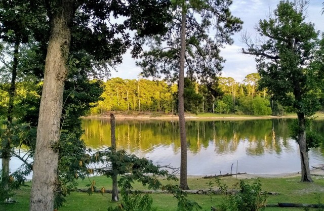 Leben am See ...